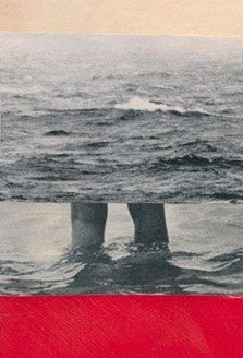Criaturas que atravessam águas: migração e memória